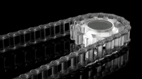 Bicycle chain. Stock Photos