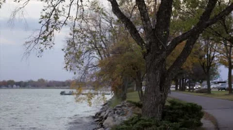 Bicycle commuters on gray fall day Stock Footage 12337988
