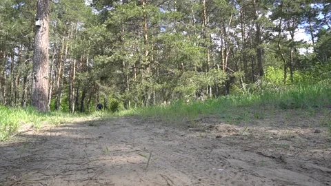 Bicycle cyclist in the forest Stock Footage 130493682