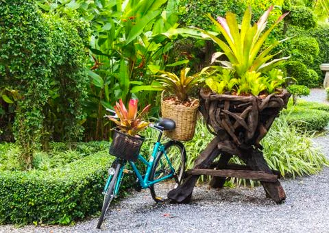 Bicycle decorated with plants Stock Photos