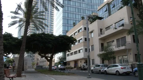 Bicycle driving on Rotschild Boulevard in Tel aviv Video stock 105620529