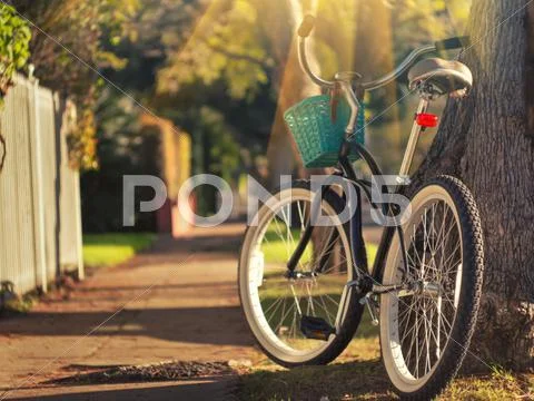 Bicycle in environment Stock Photos
