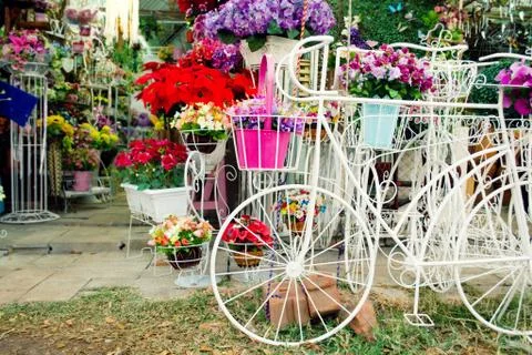 Bicycle florist Stock Photos