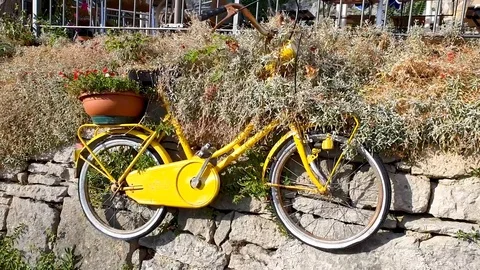 Bicycle flowerbed Stock Footage 93253727