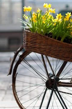 Bicycle with flowers Stock Photos