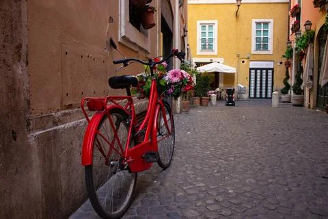 Bicycle with flowers Stock Photos