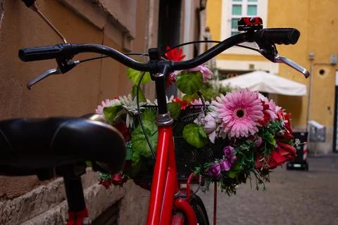 Bicycle with flowers Stock Photos