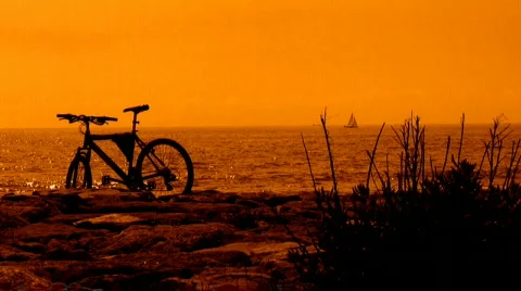 Bicycle 스톡 동영상 736742