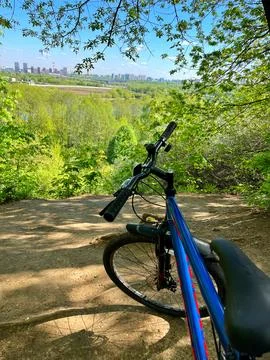 Bicycle on a forest path without a person. World Bicycle Day Stock Photos