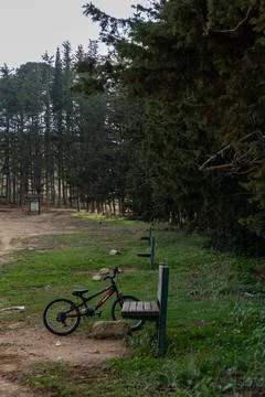 Bicycle in the forest Foto stock