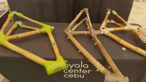 Bicycle frames made out of Bamboo, featured during a free bamboo workshop. Stock Footage 284516936