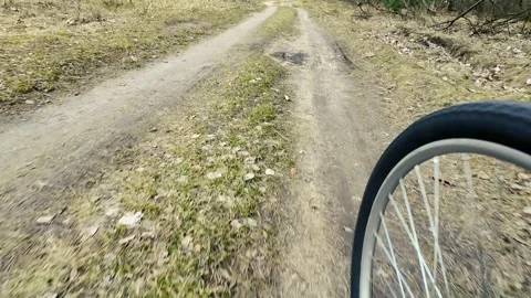 Bicycle front wheel POV on forest dirt road | Bike riding footage Stock Footage 305161245