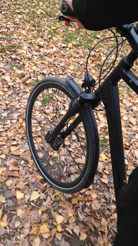 Bicycle Front Wheel Rolls Over Fallen Autumn Leaves Stock Footage 325216393