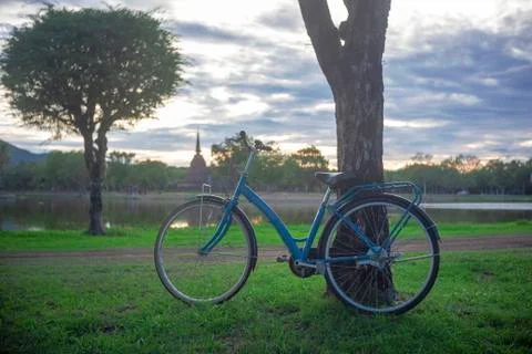 Bicycle in the garden Stock Photos