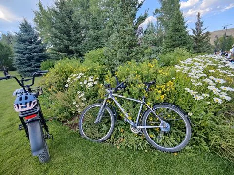 Bicycle in the garden Stock Photos