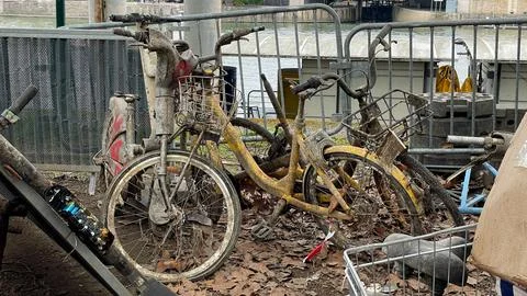 Bicycle graveyards. Stock Photos