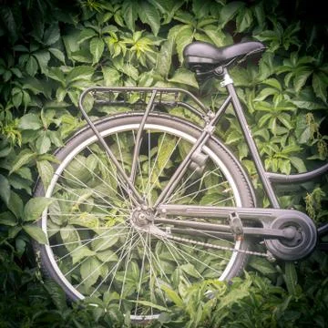 Bicycle with green foiage in background Stock Photos
