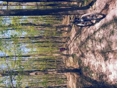 Bicycle in the green forest on path Stock Photos
