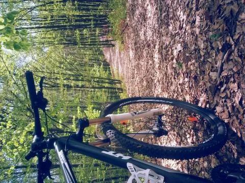 Bicycle in the green forest on path Stock Photos