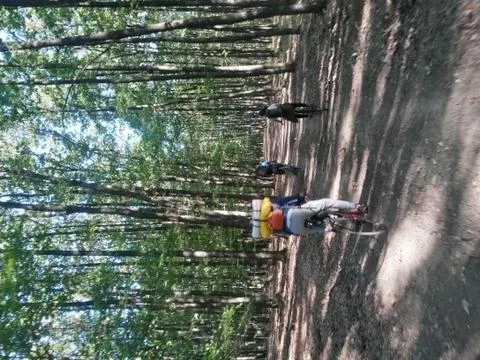 Bicycle in the green forest on path Foto stock