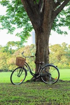 Bicycle on green grass under tree Stock Photos