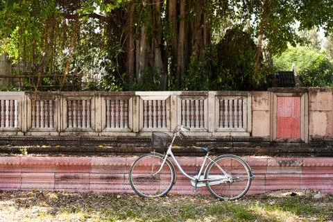 Bicycle on the lawn Stock Photos