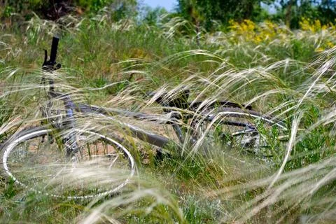 Bicycle lying on the grass Stock Photos
