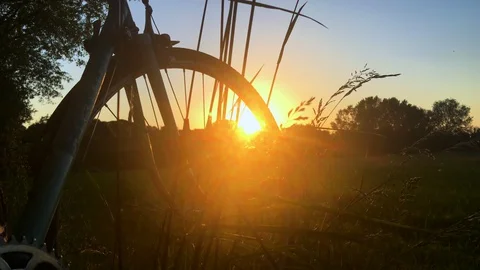 Bicycle on a meadow at sunset Stock Footage 130140682