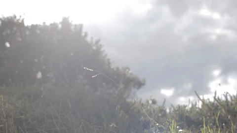 Bicycle moving sun in the back Stock Footage 94552176