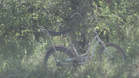Bicycle in nature 스톡 동영상 137644003