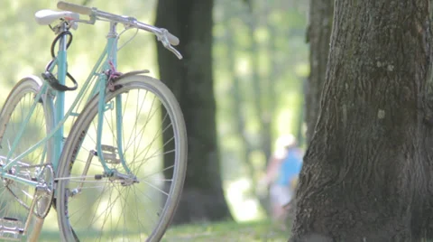 Bicycle in the park Stock Footage 39376008