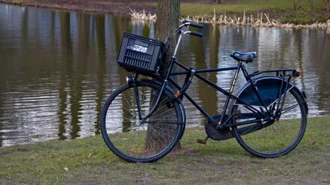 Bicycle at Park Foto stock