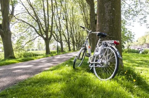 Bicycle in the park Stock Photos