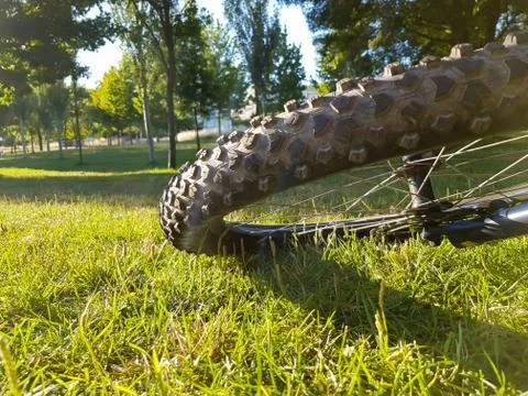 Bicycle on the park Stock Photos