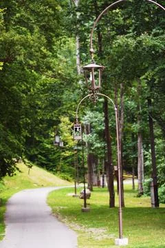 Bicycle in the park Stock Photos