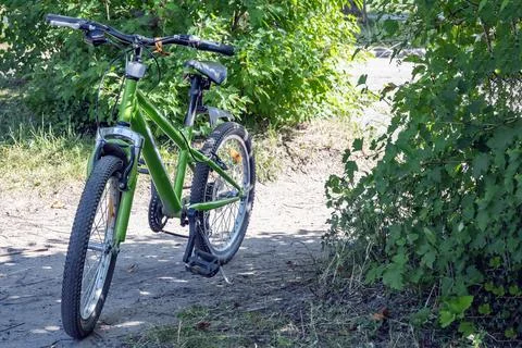 Bicycle is parked on path between dense bushes Stock Photos