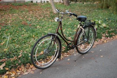 Bicycle parked on a path surrounded by fallen leaves near grass during autu.. Foto stock