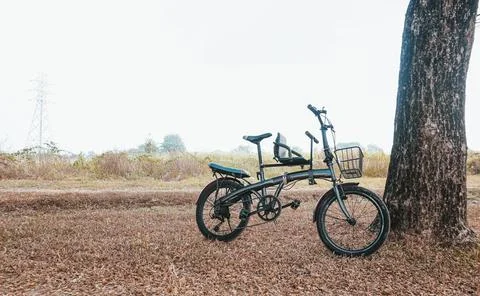 A bicycle parked under a tree in a dry, grassy field, ideal for themes of t.. Stock Photos