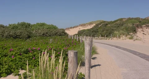 Bicycle path and walkway in primary dune valley at the Dutch coast Stock Footage 98479191