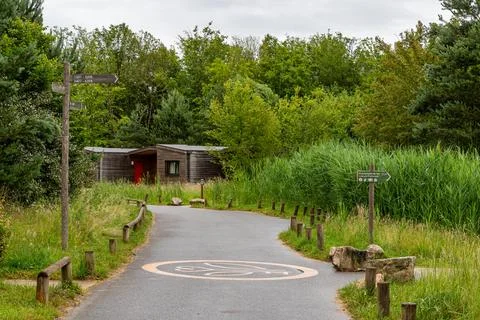 Bicycle Path in Forested Area at Center Parcs Villages Nature Paris, France. Stock Photos
