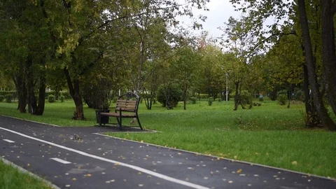 Bicycle path in the Park with a bench for rest Stock Footage 121071958