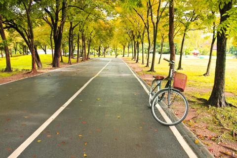 The bicycle on path of park Stock Photos