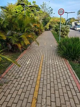 Bicycle path in the park Stock Photos