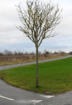 Bicycle path 库存照片