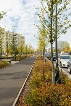 Bicycle path separated from the street by a greenery belt with young trees. Stock Photos