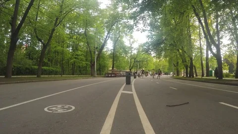 Bicycle Path In The Summer Park Timelapse Vidéo 82052819