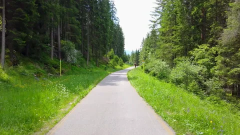 Bicycle path at summer point of view pov mountain vacation and sport 4k video Stock Footage 157645956