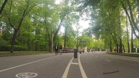 Bicycle Path In A sunny Summer Park Timelapse Stock Footage 78019114