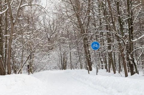 Bicycle path in winter forest Foto stock