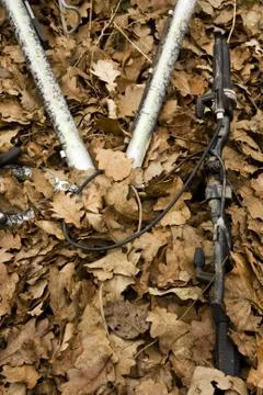 Bicycle Stock Photos